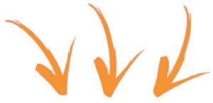Chetoni Pruvit Prezzo: dove comprarli e quanto costano? 5 FRECCE Chetoni Pruvit Prezzo: dove comprarli e quanto costano?