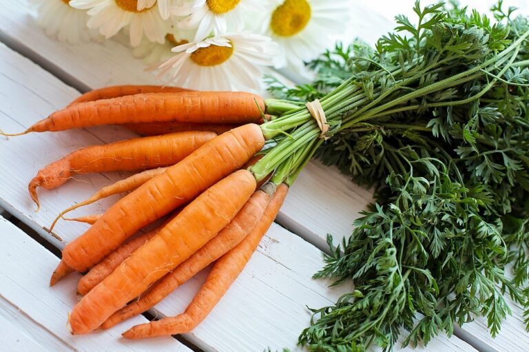 carote nella dieta chetogenica