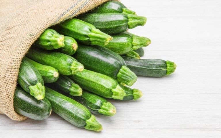 zucchine e chetogenica