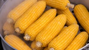Mais in dieta chetogenica: si può mangiare o no? Calorie 208 Mais in dieta chetogenica