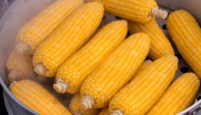 Mais in dieta chetogenica: si può mangiare o no? Calorie 1 Mais in dieta chetogenica