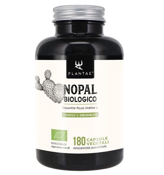 Nopal: proprietà, integratore per dimagrire, dove si compra? 1 Nopal Biologico